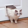 4-Way Interior Locking Cat Door -PetSafe® vl6yhgbrsh4nbfvtpit7 bb36c77b ee86 4d11 b850 a25fe4bf9747