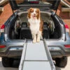 Happy Ride® Telescoping Dog Ramp -PetSafe® voagsimhy1klt7wh7osm 9e256fd3 f5ce 41c8 b280 6111a1b878a1