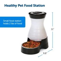 Healthy Pet Food Station™ -PetSafe® vs4fda1ekg3vvttd6pvg 45f521b1 0fc4 4111 b578 19432865b87b