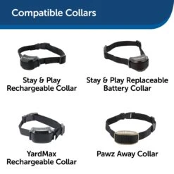 Collar Strap For Cats -PetSafe® vtkan4yhz80xcmdfcpeq 9f278656 826a 47d7 bab3 fc4ea2d1d5e3