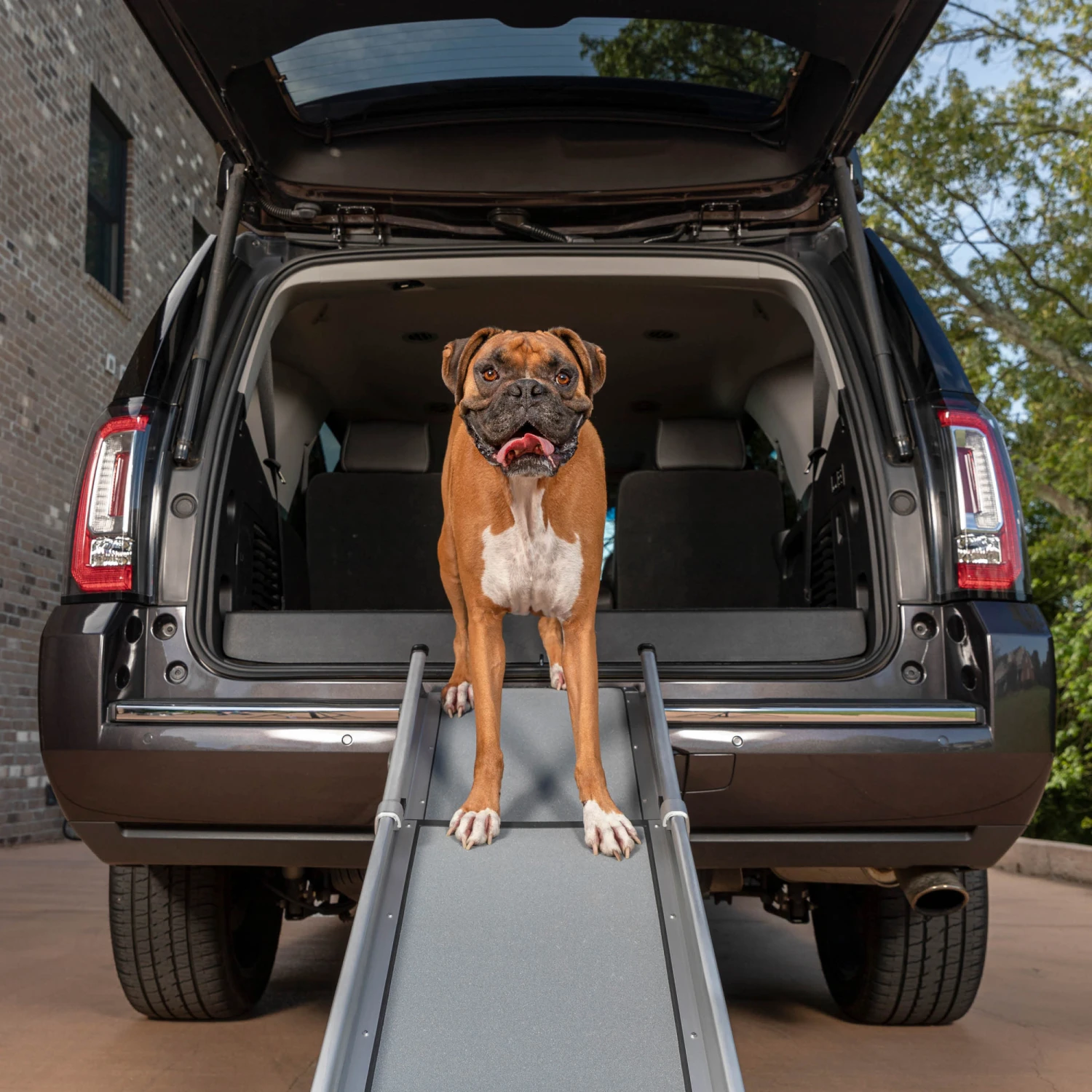 Happy Ride® Compact Telescoping Dog Ramp 3 Happy Ride® Compact Telescoping Dog Ramp