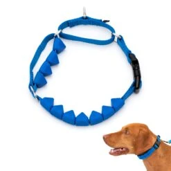 Soft Point Training Collar 13 Soft Point Training Collar -PetSafe® vwtkjx7lzleebny5s5pc d942476c 3b59 4e32 9573 34e3a3de7eb0