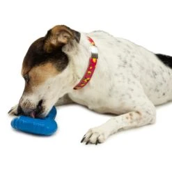 Freezable Treat Holding Chilly Penguin -PetSafe® vyqg4snjl3kvjdmhvhhb 2f398c39 780e 4210 86a5 9550708eebf9