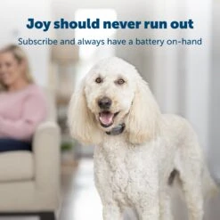 3-Volt Battery -PetSafe® w5fuktyeoia0iwkjnv5n