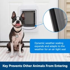 SmartDoor™ Connected Pet Door Power Adaptor -PetSafe® wmv0ownsz0chi1v6kiji cc201239 5620 459a 93e9 3f7e142fa758
