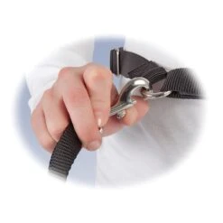 Hands-Free Leash -PetSafe® wp0qzbqtkwevryplzpoa 81b5d118 d322 436e be03 c19dc0db529e