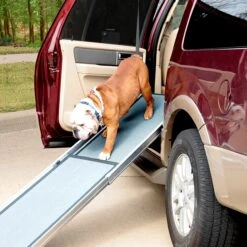 Happy Ride® Dog Ramp Adaptor -PetSafe® ww1altc6sax4czkjrdpj 1312050f 2018 4363 8217 75cdff3665ff