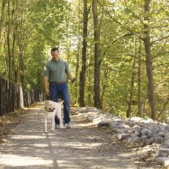 Remote Trainer Transmitter Hand Strap -PetSafe® wzyarlitxvovigfouk66 3b723896 e245 4478 822e bb9be7b47ae6