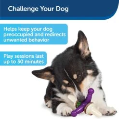 Busy Buddy® Jack -PetSafe® x7pj30mhggd89fhzw9pi e10e7aa7 9dc2 43f8 acdd 7dc99095b23c