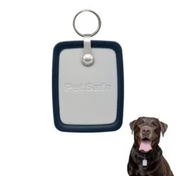 SmartDoor™ Connected Pet Door Key -PetSafe® xbfchl03305zmxqodftx fb6e782f 408c 470b 86b6 f3c9191ed62c