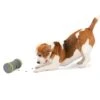Kibble Chase™ Roaming Treat Dropper -PetSafe® xdciojrxkbvmupjhrj9b 44f028f7 3203 40a9 abda 23b55c927dec