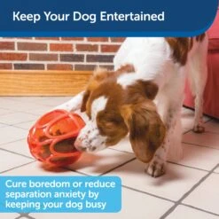 Sportsmen Kibble Nibble™ -PetSafe® xdngw2cnryloc1eyuxar 09126fbf 1494 4f20 ad32 dbff282f7e17