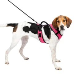 EasySport Harness 40 EasySport Harness -PetSafe® xhvvm4my93sakrbbbtwq c169643d d58f 4aee 95ba 877d33144592