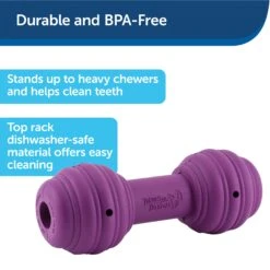 Busy Buddy® Chuckle™ -PetSafe® xhxpfihbuogwec0npz0r 2b1d528e 51d1 43c3 ac03 9b39f36c1324