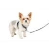 3 In 1 Harness -PetSafe® xl1zyty8lyna2fekzcir a923ddc8 965f 487e bb82 ad9cbb0b1f58