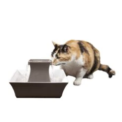 Drinkwell® Pagoda Fountain -PetSafe® xv9jjxiyvliwul0csluc b851332a 138b 4878 b45b a6ef03ce7a12