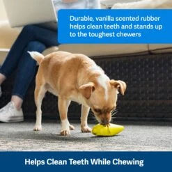 Frosty Cone 11 Frosty Cone -PetSafe® yeu3ctmzj38dgifw0qsk 9ded042a 6b6d 4deb 9904 5177fa5dc61c