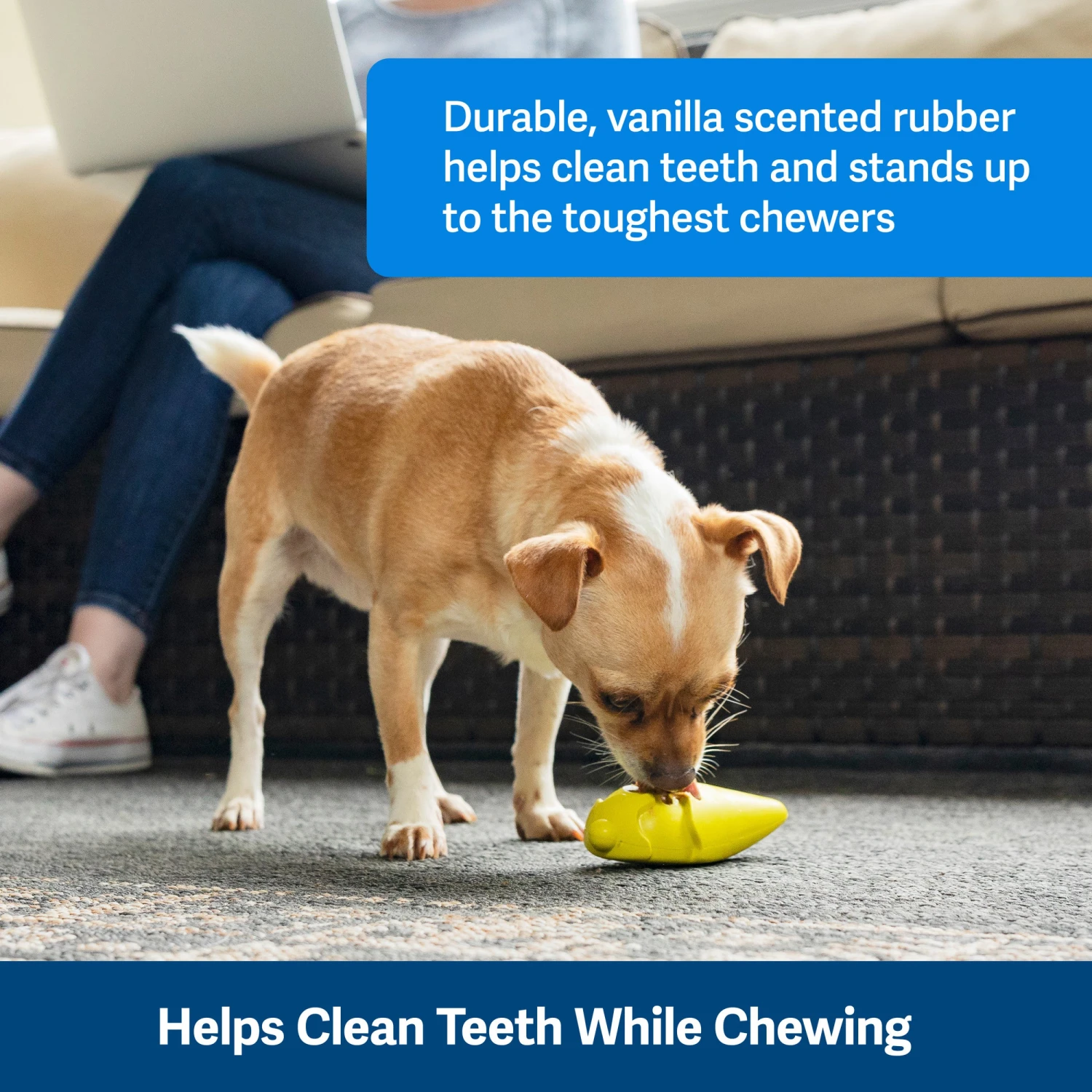 Frosty Cone 6 Frosty Cone - Image 4