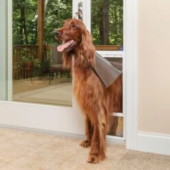 Freedom® Aluminum Patio Panel Up To 96 Inches -PetSafe® yhuu6gvvzf4v20g8kkjm 83586b74 fe29 4543 815a fbbdb49610c1