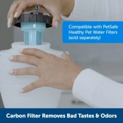 Healthy Pet Water Station™ -PetSafe® ynnc5vyjvhacqmp8mzol 86ab33ac 6578 4874 82b4 9bf4c0367a9c