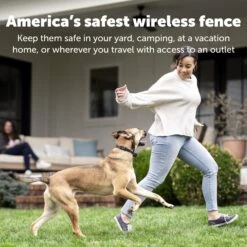 Stay & Play® Wireless Fence Rechargeable Receiver Collar -PetSafe® zh4q7qjkuimt2zesb8xq