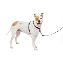 3 In 1 Harness -PetSafe® zmzcxzd6k3sai8jk6ujm e93b9a52 e3d9 485d b9a4 b660c15847a5