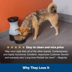 Healthy Pet Food Station™ -PetSafe® zoaoeoxhjsq1fqp768la 73b60950 f114 409c 8cd3 19fd8b4044ca