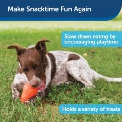 Squeak 'n Treat Booya 13 Squeak 'n Treat Booya -PetSafe® zubzerwc8ojuukldr4fa ad0f16c5 67a4 422e 9f47 868e689dc195